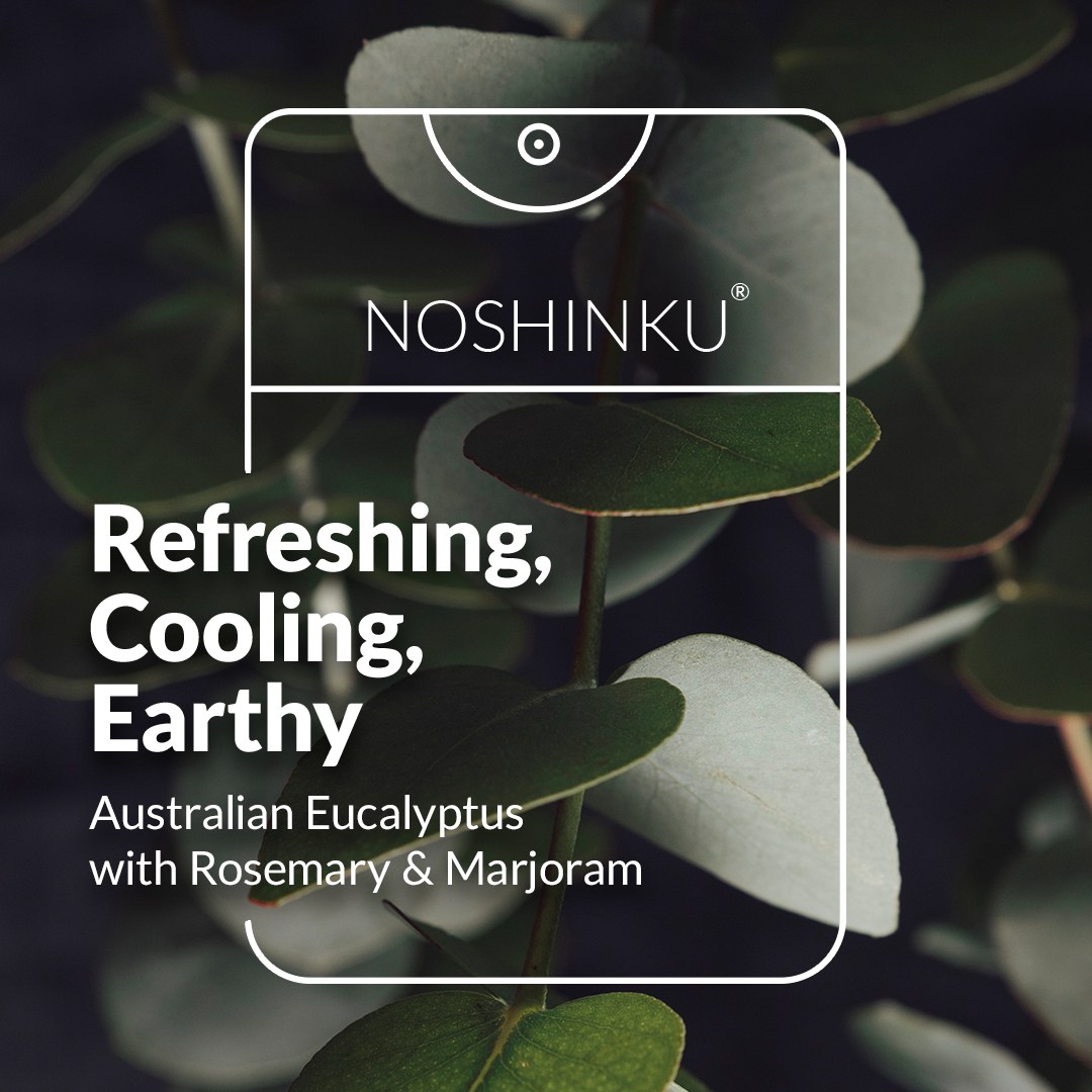 Eucalyptus Hand Sanitizer Refill Pouch
